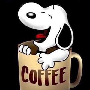 Meet your Posher, Kay